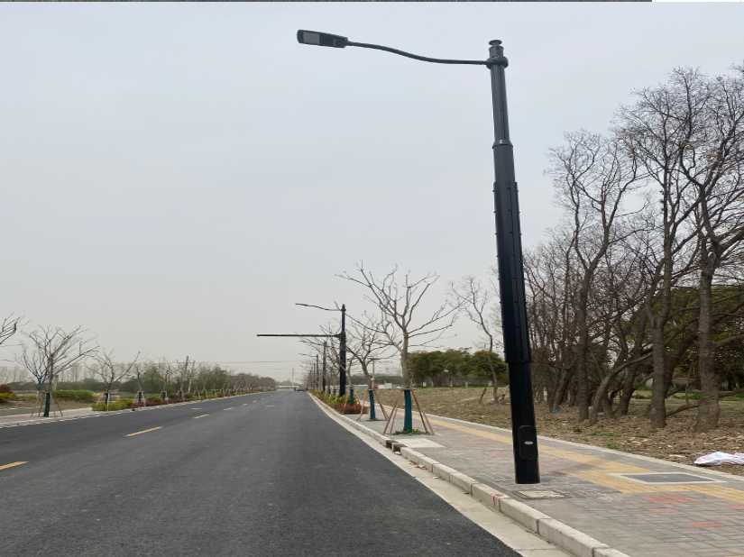 成县上海综合杆 太阳能路灯工程